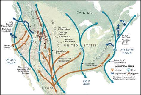 United States of America/Paths .